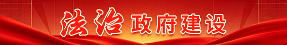 法治政府建设
